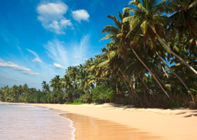 z Prahy na Srí Lanku